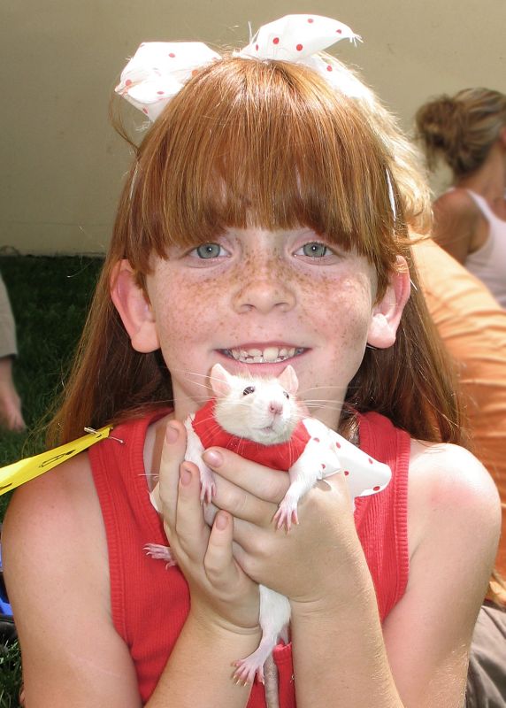 ICARE Pet Show